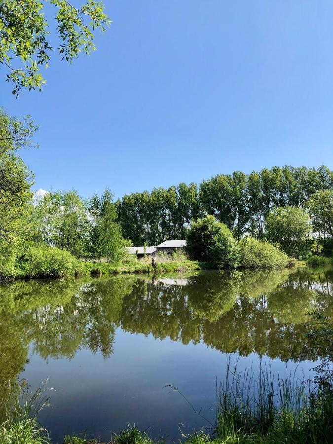 Koza I Brzoza, Domki Z Kontenerow Piechowice  Exteriér fotografie