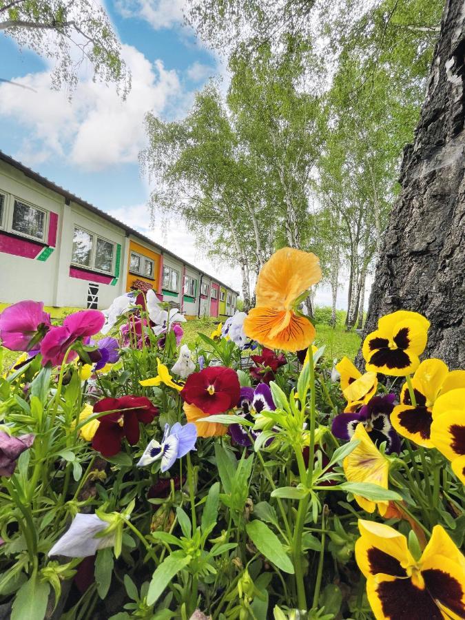 Koza I Brzoza, Domki Z Kontenerow Piechowice  Exteriér fotografie