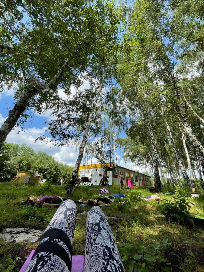Koza I Brzoza, Domki Z Kontenerow Piechowice  Exteriér fotografie